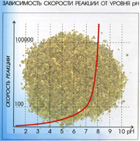 calcit_01.jpg calcit_01.jpg