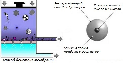 Способ действия мембраны обратного осмоса