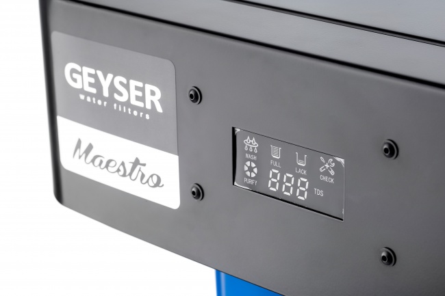 Гейзер Маэстро 4000