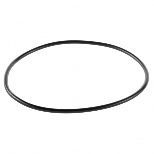 Кольцо уплотнительное для корпусов Гейзер C23 BB