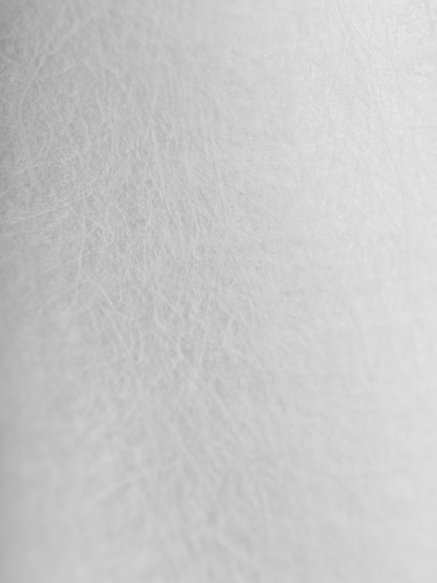 Картридж PP 25 - 10SL 