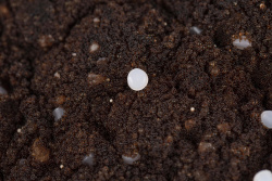 Экотар В30, 25 л