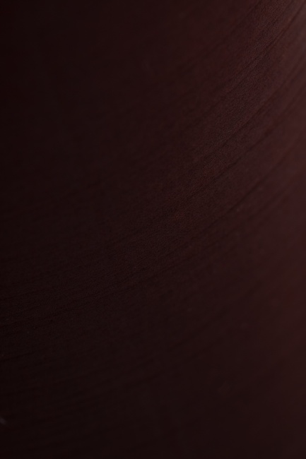 Картридж Арагон Ж - 10SL