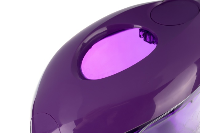 Гейзер Вега