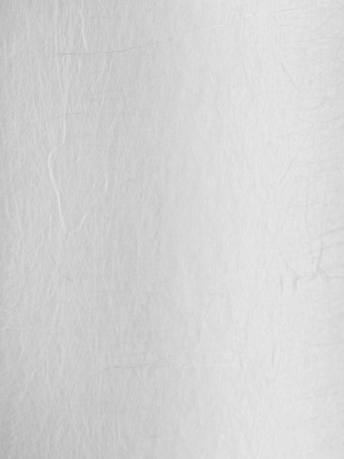 Картридж PP 1 - 20BB