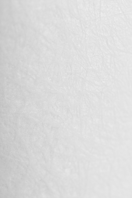 Картридж PP 25 - 10ВВ