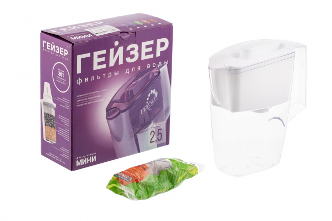 Гейзер-Мини