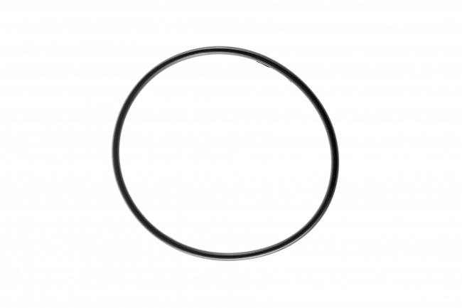 Кольцо уплотнительное для корпусов Гейзер C25 SL