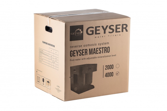 Гейзер Маэстро 4000