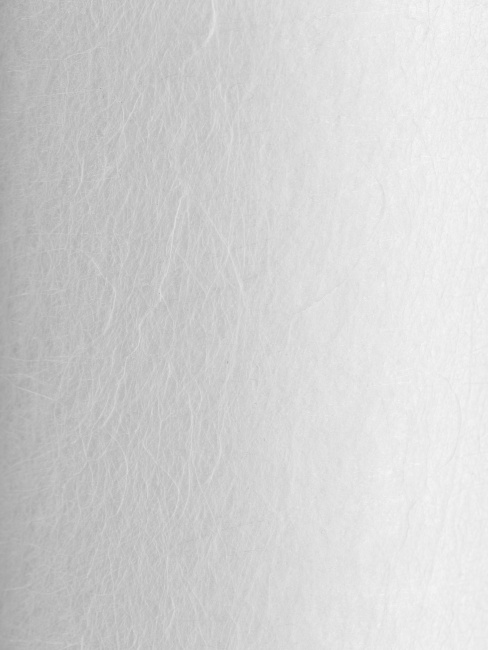 Картридж PP 10 - 20BB