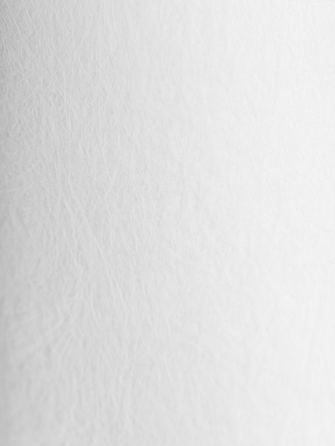 Картридж PP 50 - 10BB 