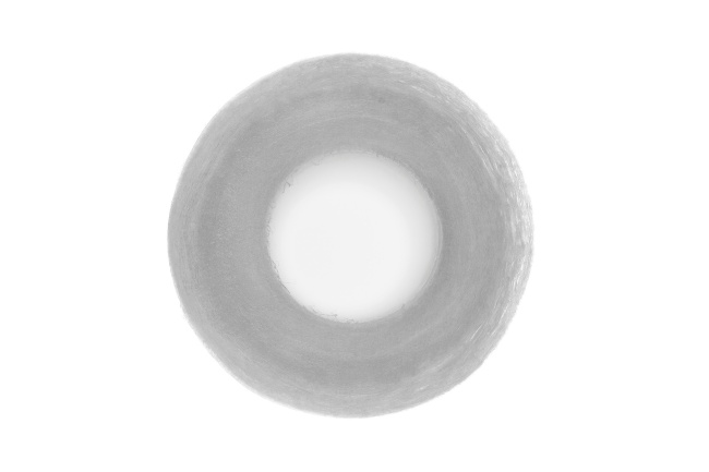 Картридж PP 5 - 10SL