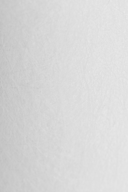 Картридж PP 50 - 20BB 