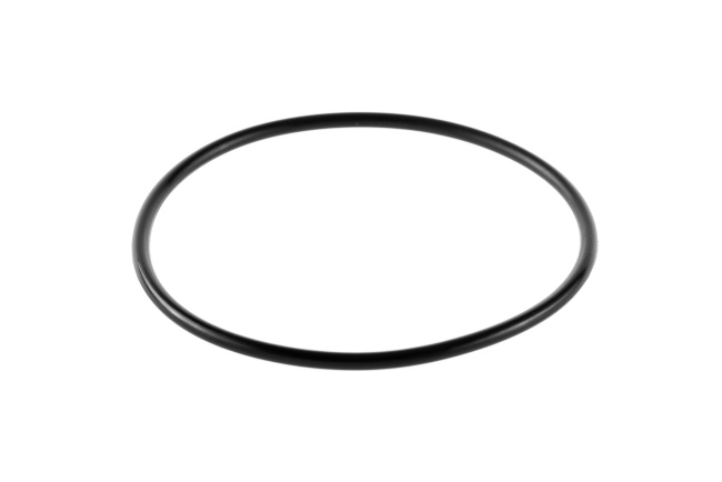 Кольцо уплотнительное для корпусов Гейзер C25 SL