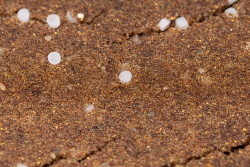 Экотар В, 25 л