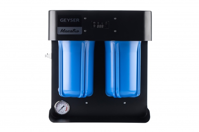Гейзер Маэстро 4000
